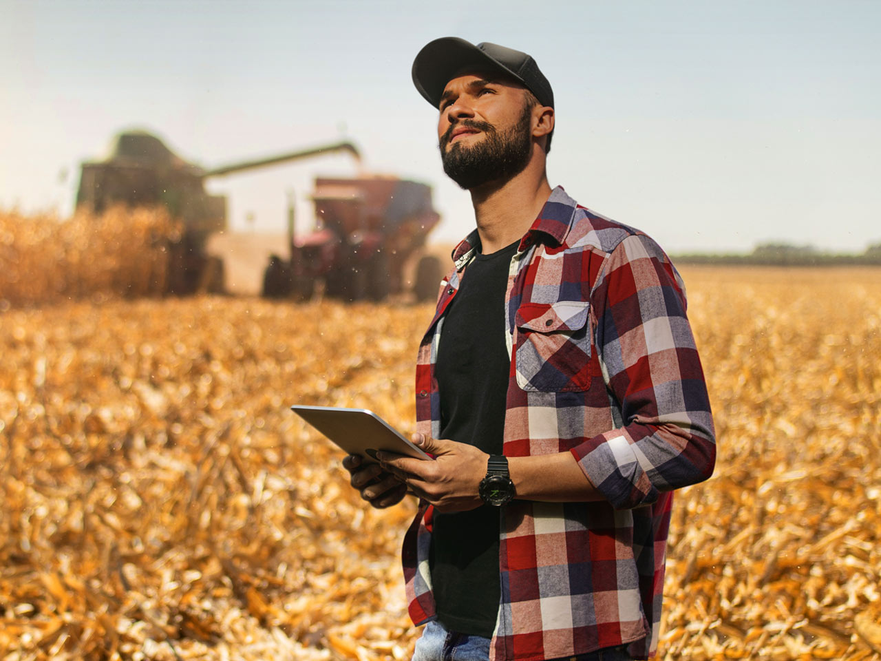 Young male farm owner in cornfield with harvester.