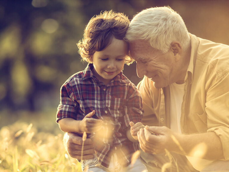 Grandfather with young grandson in sunny wheat field.