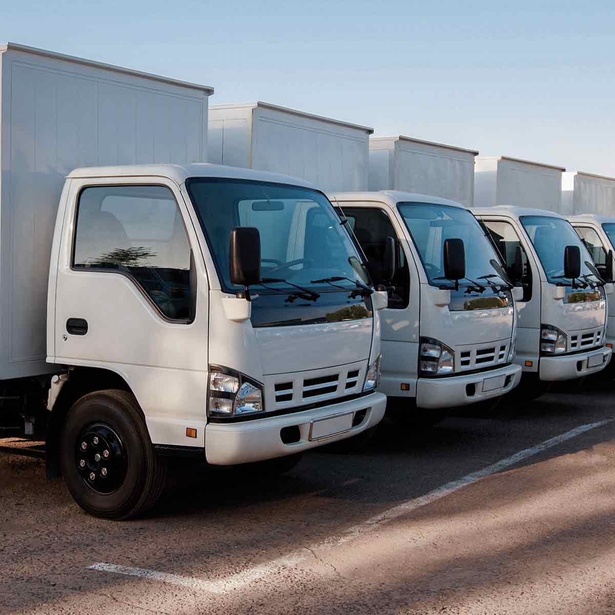 Fleet of white box trucks parked in a lot, illustrating vehicle fleet loans and expansion options
