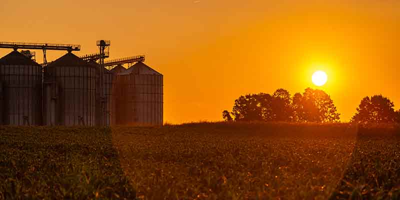 A vast field with silos silhouetted against a vibrant sunset, symbolizing the dedication of farmers from dawn to dusk.
